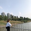 인크롭