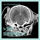 개봉동물병원 이미지