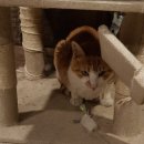 인덱스 제이드림호텔 이미지