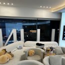 필 | 강남역 피부과 강남 아쿠아필 후기 아쿠아필 크라이오 모델링팩까지