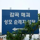 왕장1리 Daum카페