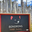 (주)야생 | [호주] 태즈매니아 호바트 - 보노롱 야생동물 보호구역 방문 후기