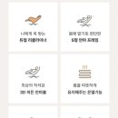 캄포레스트
