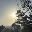 펜션비우고채우는숲 이미지