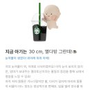 11650-17-196-25 | 제일산부인과 정밀초음파, 임당식단, 임당재검 후기, 루비락 임신축하박스, 하기스 허그박스, 산후...