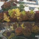 서울덕수초등학교 이미지