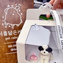 너를닮은케이크 이미지