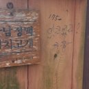 한국진돗개육종연구소 이미지