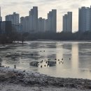 평택시립도서관 이미지