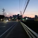 뚝방길~우리예식장 이미지
