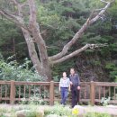 예솔농장 이미지