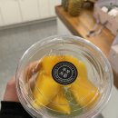 푸릇프릍 네이버블로그