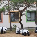 알라딘어린이집 놀이터 이미지