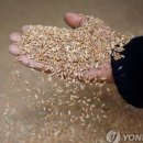 대한사료(주) 이미지