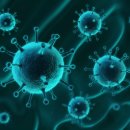 이로운덴탈 이미지