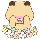미스플라워 - 서구 계룡로 560 | 미스플라워