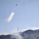 지동리 마을회관 | [산림청 보도]경주 양남면 산불 13시간여만에 주불 진화…영향구역4.27㏊(외 10건 산불진화)