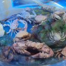 땅끝해양자연사박물관 이미지