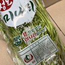 향긋한 청도미나리-숨비소리님 이미지