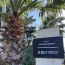 호텔 서귀피안 이미지