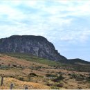 한라산 선작지왓 이미지