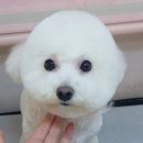 상일축산 이미지