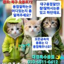 대경부분정비 이미지