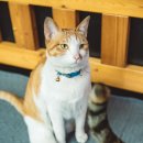 듀크레이싱 | 레드블리츠의 인연, 프리미엄 바이크 오일 '풀보어(FULL BORE)'를 만나다