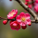 3월10일(화) 출석부🍒🫜 이미지