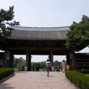 대구골목투어 Daum카페