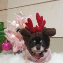 유니온동물의료센터 이미지