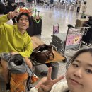 재영민박 | 이집트 다합으로 신혼여행 1 | 카이로 입국·샴엘셰이크 리조트·다합 첫날