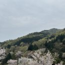 죽방마을회관 | 2024.04.02 - 04.17 : 태어났으면 남해살이, 남해 한달살기_7일차