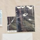 가을에 어울리는 DIY 향수 | 가을에 어울리는 우디향수 PURE5 사용 후기