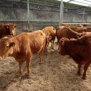 만전농장 이미지