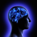 뇌의 부산물제거 시스템과 알츠하이머 질환 - SCI급 보고서 이미지