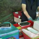 애막골갈비김밥 이미지