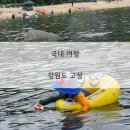 작전시장생선 | 금강산한식뷔페, 금강산콘도, 부두식당, 대진항수산시장, 화진포해양박물관, 휘닉스파크 블루캐니언.