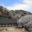 도봉산 네이버블로그