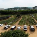 시정농장 이미지