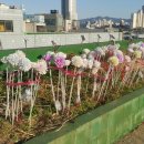 구로한성상가 이미지