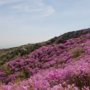 고려산 - 혈구산 진달래 축제 산행 (4/15,수) - 레포 이미지
