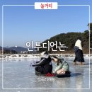 원주 얼음썰매 인투디언논 겨울에 가볼 만한 곳