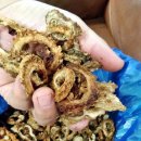 여주-1127 이미지