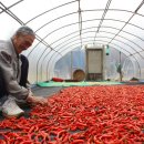 주천1리 이미지