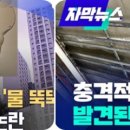 평택마이스터고등학교 이미지