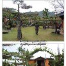 들꽃정원민박 이미지