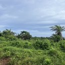 표선리-20 이미지