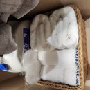 아세라빌라드아쿠아 호텔 이미지