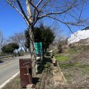 스테이남해S동 | [남해 숙소추천] 남해오션뷰 풀빌라 스테이남해 일체형 후기